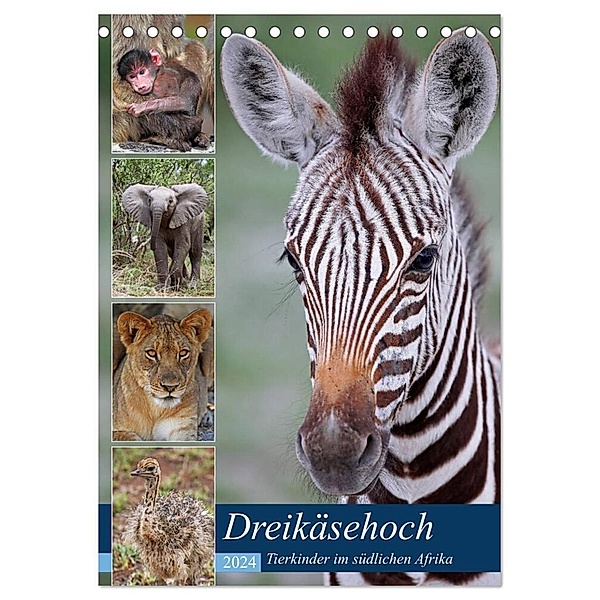 Dreikäsehoch - Tierkinder im südlichen Afrika (Tischkalender 2024 DIN A5 hoch), CALVENDO Monatskalender, Wibke Woyke