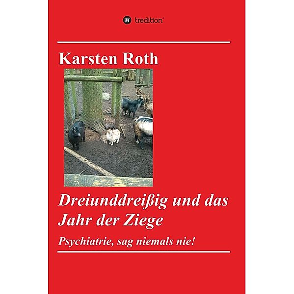 Dreiunddreissig und das Jahr der Ziege, Karsten Roth