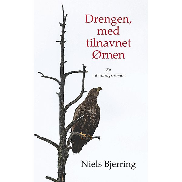 Drengen, med tilnavnet Ørnen, Niels Bjerring