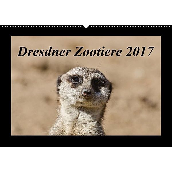 Dresdner Zootiere 2017 (Wandkalender 2017 DIN A2 quer), Michael Weirauch