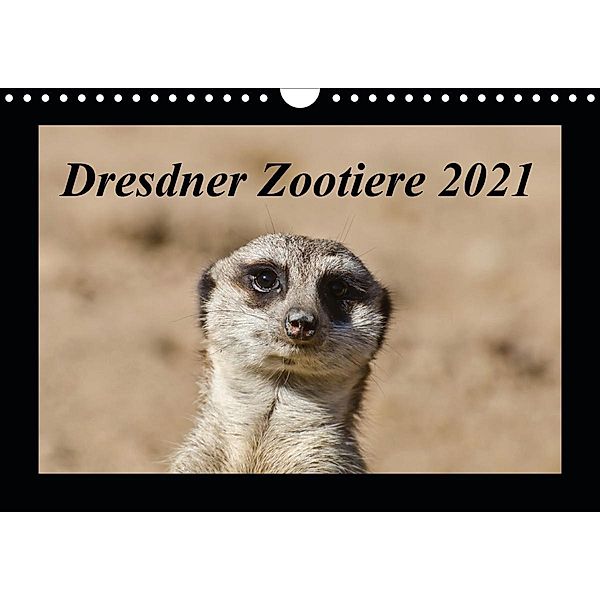 Dresdner Zootiere 2021 (Wandkalender 2021 DIN A4 quer), Michael Weirauch