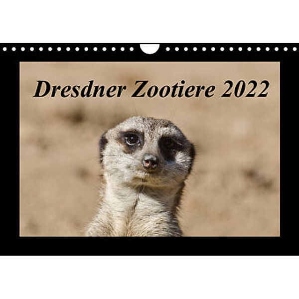 Dresdner Zootiere 2022 (Wandkalender 2022 DIN A4 quer), Michael Weirauch