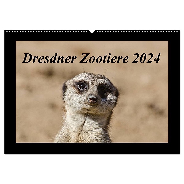 Dresdner Zootiere 2024 (Wandkalender 2024 DIN A2 quer), CALVENDO Monatskalender, Michael Weirauch