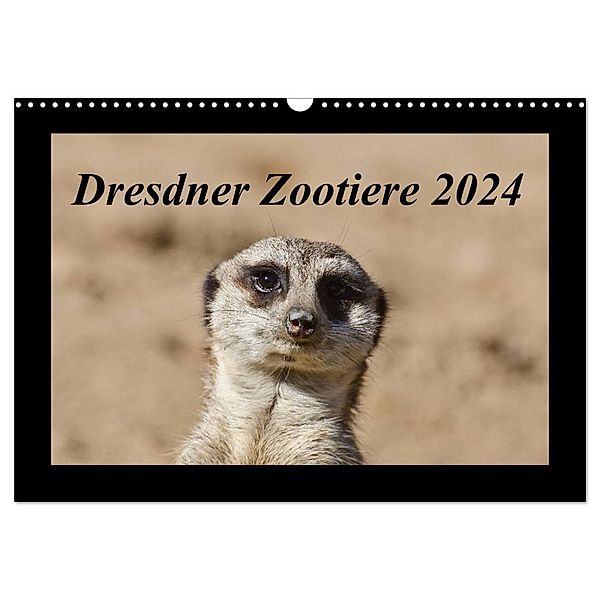 Dresdner Zootiere 2024 (Wandkalender 2024 DIN A3 quer), CALVENDO Monatskalender, Michael Weirauch