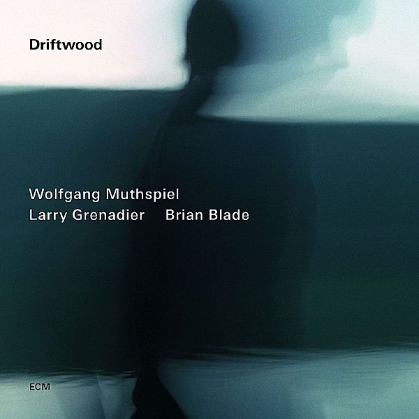 Driftwood, Wolfgang Muthspiel, Larry Grenadier, Brian Blade