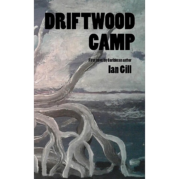 Driftwood Camp, Ian Gill