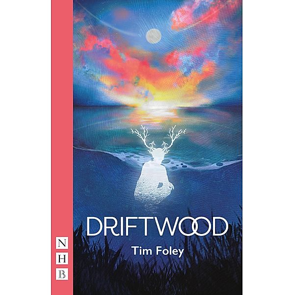 Driftwood (NHB Modern Plays), Tim Foley