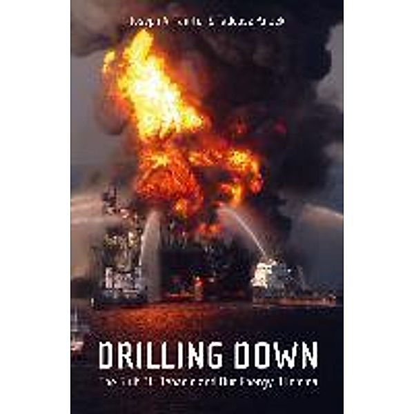 Drilling Down, Joseph A. Tainter, Tadeusz W. Patzek