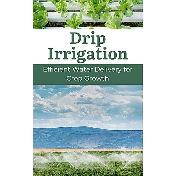 Drip Irrigation : Efficient Water Delivery for Crop Growth, Ruchini Kaushalya