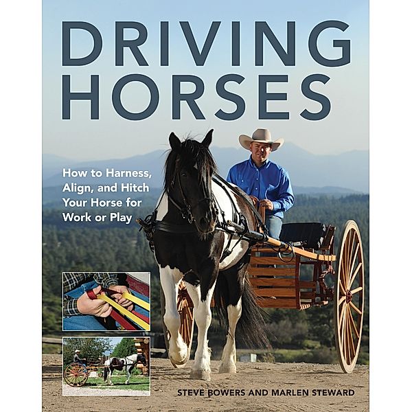 Driving Horses, Steve Bowers, Marlen Steward