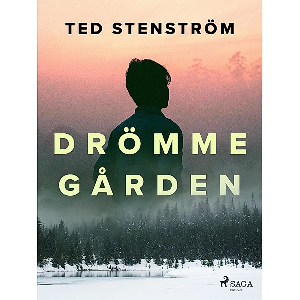 Drömmegården, Ted Stenström