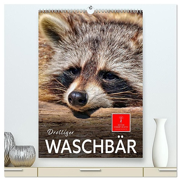 Drolliger Waschbär (hochwertiger Premium Wandkalender 2024 DIN A2 hoch), Kunstdruck in Hochglanz, Peter Roder