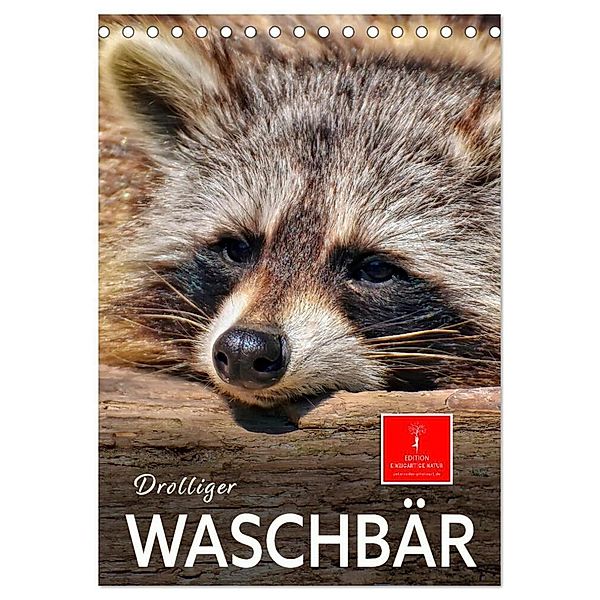 Drolliger Waschbär (Tischkalender 2024 DIN A5 hoch), CALVENDO Monatskalender, Peter Roder