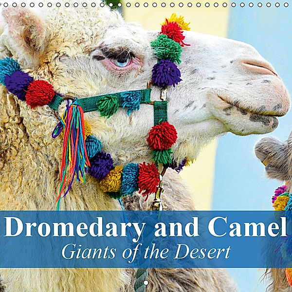 Dromedary and Camel - Giants of the Desert (Wall Calendar 2019 300 × 300 mm Square), Elisabeth Stanzer