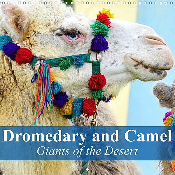 Dromedary and Camel - Giants of the Desert (Wall Calendar 2023 300 × 300 mm Square), Elisabeth Stanzer