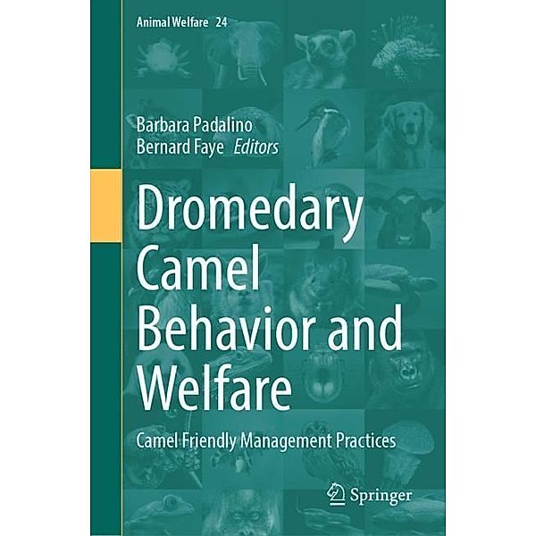 Dromedary Camel Behavior and Welfare