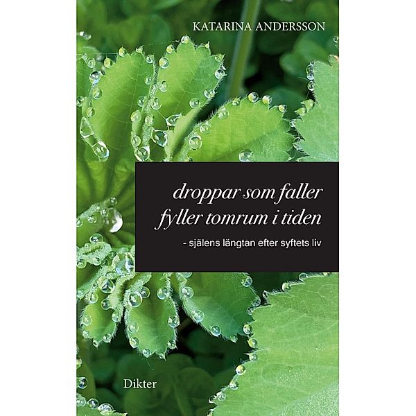 Droppar som faller fyller tomrum i tiden, Katarina Andersson