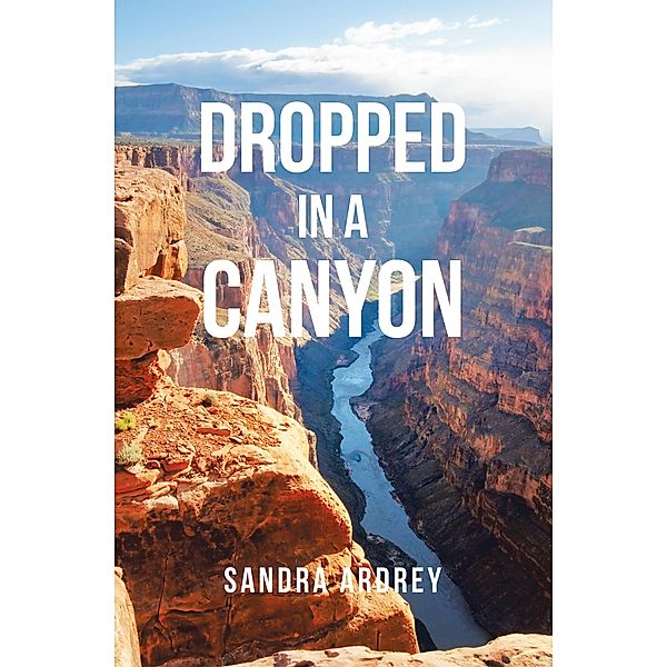 Dropped in a Canyon, Sandra Ardrey