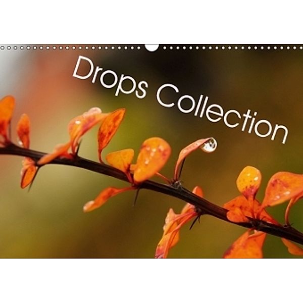 Drops collection (Wall Calendar 2017 DIN A3 Landscape), Marek Wasiel - philozoph