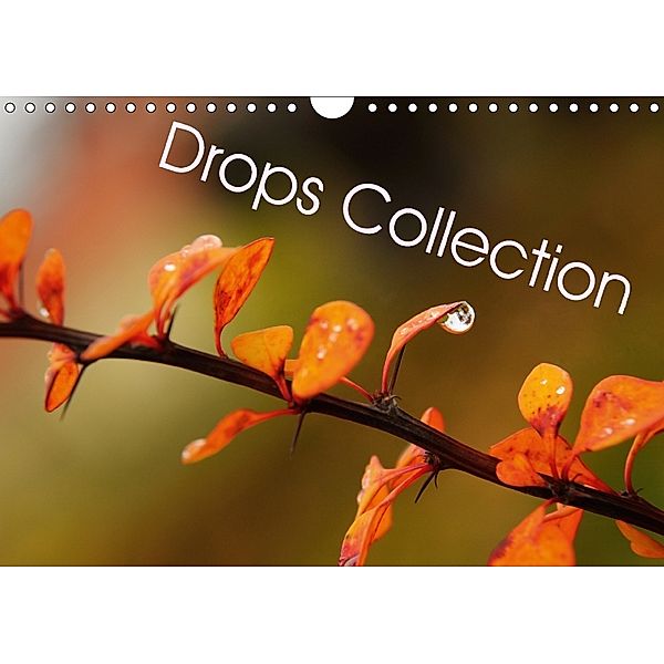 Drops collection (Wall Calendar 2018 DIN A4 Landscape) Dieser erfolgreiche Kalender wurde dieses Jahr mit gleichen Bilde, Marek Wasiel - philozoph