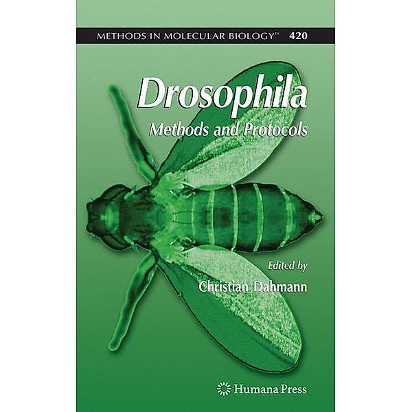 Drosophila