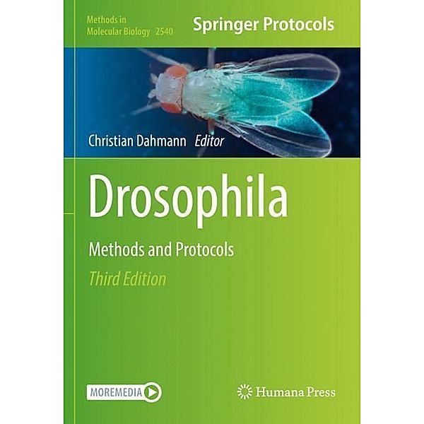 Drosophila