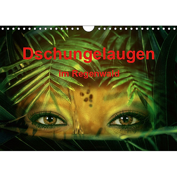 Dschungelaugen im Regenwald (Wandkalender 2019 DIN A4 quer), Liselotte Brunner-Klaus