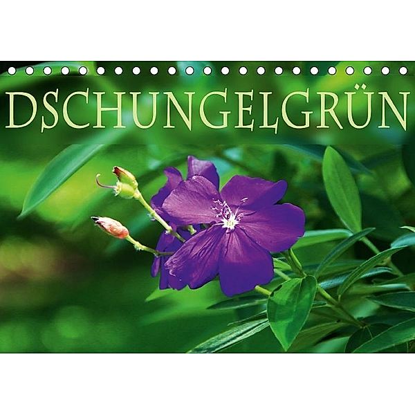 DschungelGrün (Tischkalender 2017 DIN A5 quer), Helene Seidl