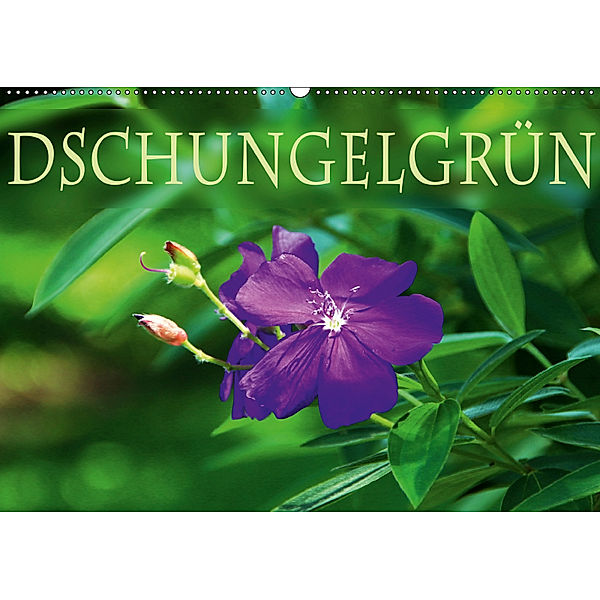 DschungelGrün (Wandkalender 2019 DIN A2 quer), Helene Seidl