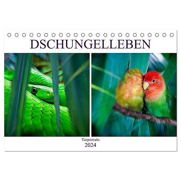 Dschungelleben - Tierportraits (Tischkalender 2024 DIN A5 quer), CALVENDO Monatskalender, Liselotte Brunner-Klaus