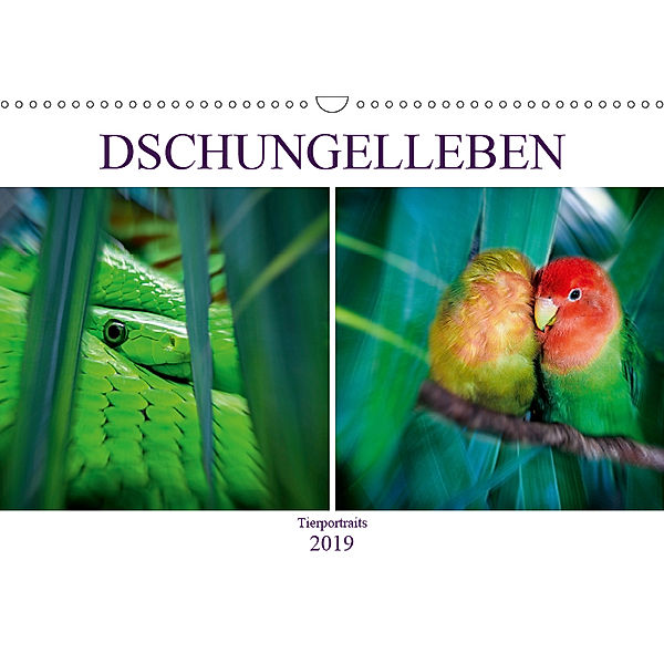 Dschungelleben - Tierportraits (Wandkalender 2019 DIN A3 quer), Liselotte Brunner-Klaus
