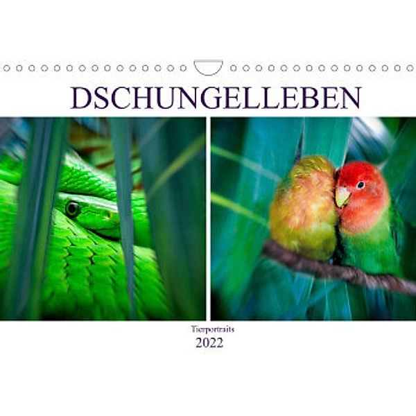 Dschungelleben - Tierportraits (Wandkalender 2022 DIN A4 quer), Liselotte Brunner-Klaus