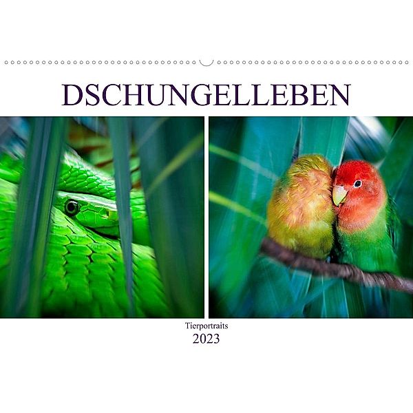 Dschungelleben - Tierportraits (Wandkalender 2023 DIN A2 quer), Liselotte Brunner-Klaus