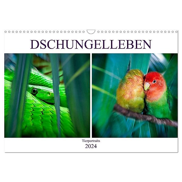 Dschungelleben - Tierportraits (Wandkalender 2024 DIN A3 quer), CALVENDO Monatskalender, Liselotte Brunner-Klaus