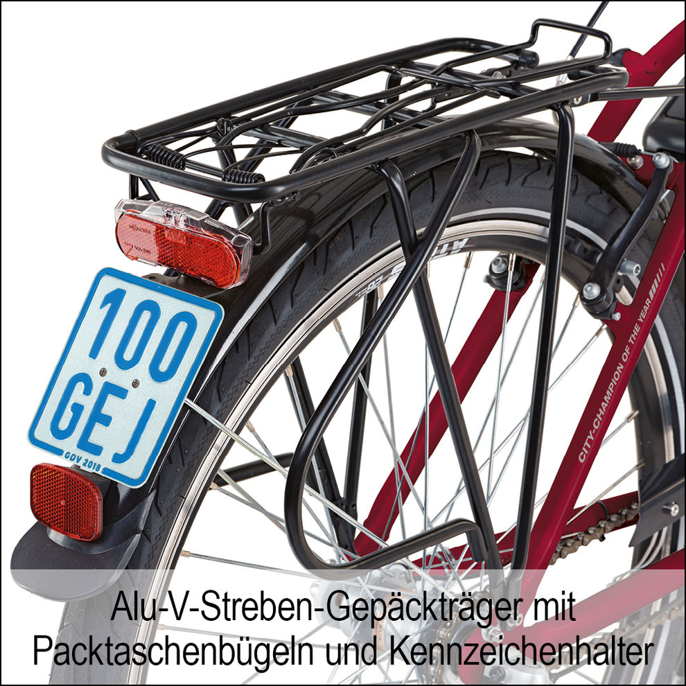 DTE E-Bike Alu City Comfort 3 in 1 Typ: rot, 36 V 10,4 Ah | Weltbild.de