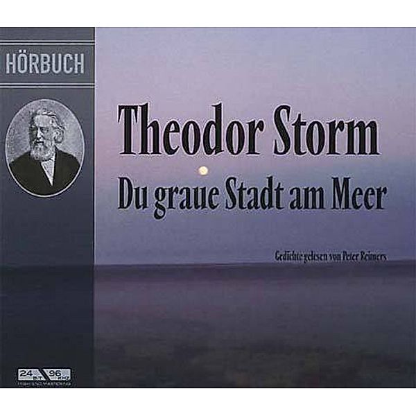 Du graue Stadt am Meer, 1 Audio-CD, Theodor Storm