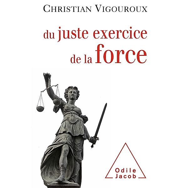 Du juste exercice de la force, Vigouroux Christian Vigouroux