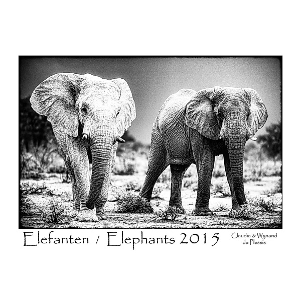 Du Plessis, C: Elefanten 2015, Claudia Du Plessis, Wynand Du Plessis