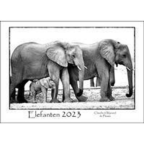 Du Plessis, C: ELEFANTEN - Kalender 2023, Claudia Du Plessis, Wynand Du Plessis