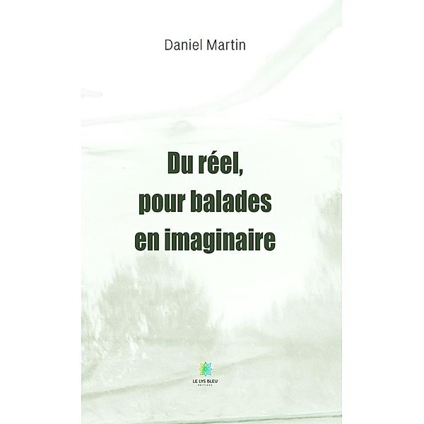 Du réel, pour balades en imaginaire, Daniel Martin