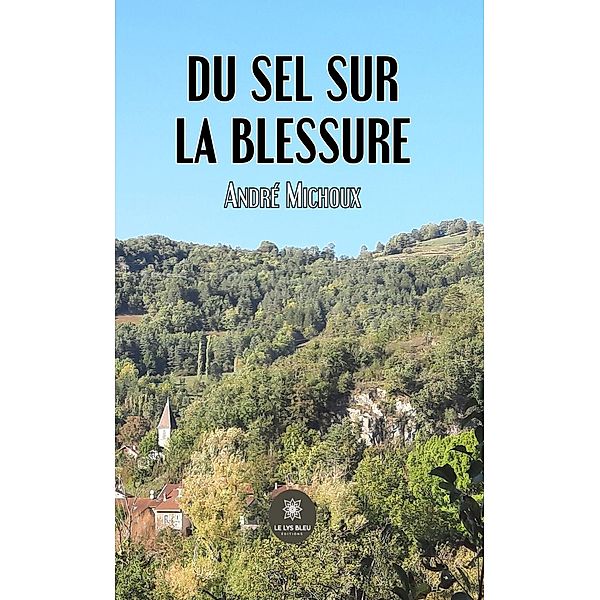 Du sel sur la blessure, André Michoux