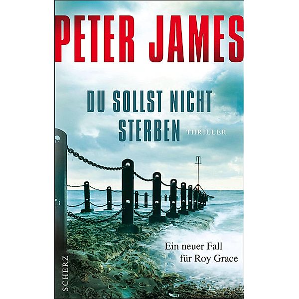 Du sollst nicht sterben / Roy Grace Bd.6, Peter James