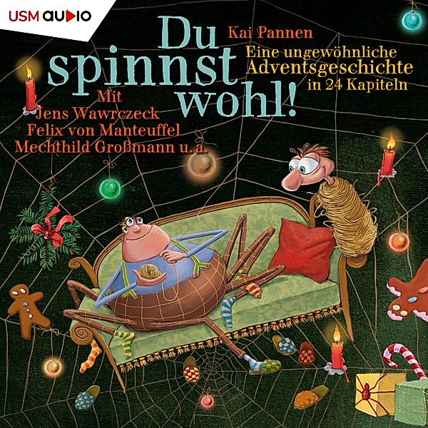 Du spinnst wohl! - 1 - Eine aussergewöhnliche Adventsgeschichte in 24 Kapiteln, Kai Pannen