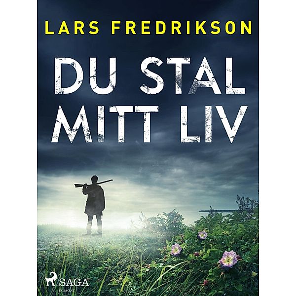 Du stal mitt liv / Theo Berlin Bd.2, Lars Fredrikson