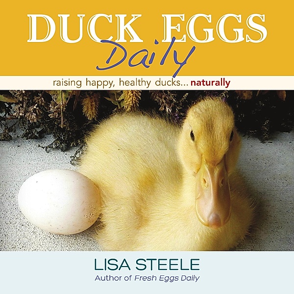 Duck Eggs Daily, Lisa Steele