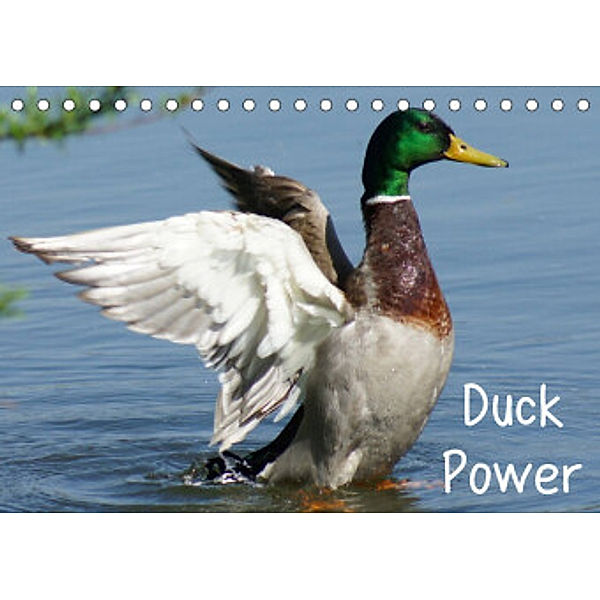 Duck Power (Tischkalender 2022 DIN A5 quer), Kattobello