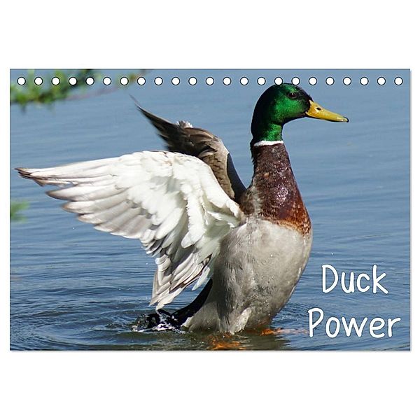 Duck Power (Tischkalender 2024 DIN A5 quer), CALVENDO Monatskalender, Kattobello