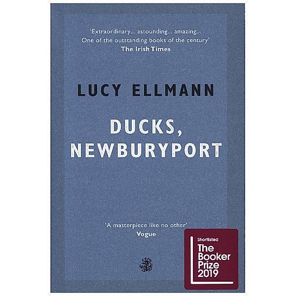 Ducks, Newburyport, Lucy Ellmann