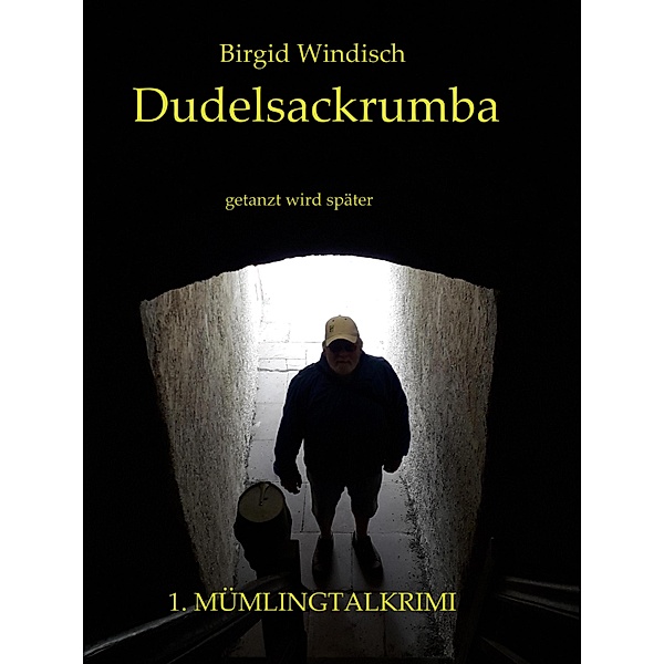 Dudelsackrumba / Die Forsyte Saga Bd.1, Birgid Windisch