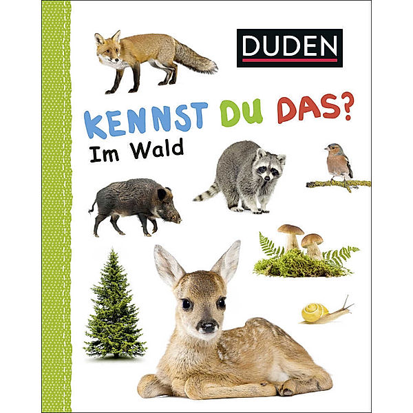 Duden 12+: Kennst du das? Im Wald